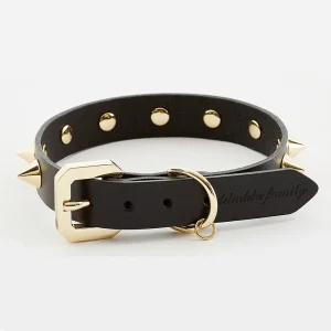 GOLDEN SPIKE BLACK COLLAR